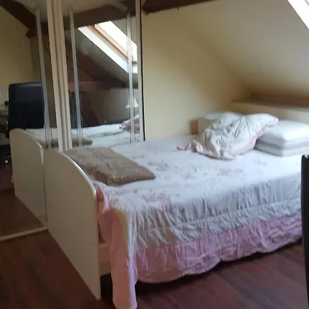 Belle Et Grande Maison Avec Terrasse Linas
